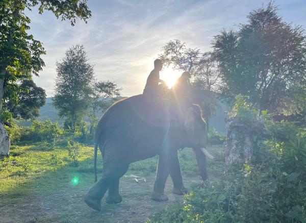 2023年度总结:三十而立