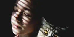Featured Image for 抄袭代码就是偷东西，抖音别狡辩了