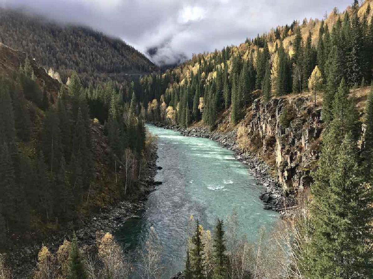 北疆瑞士：喀纳斯徒步