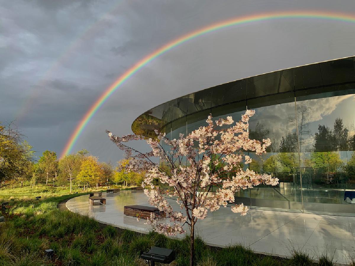 山巅之城：加州自驾